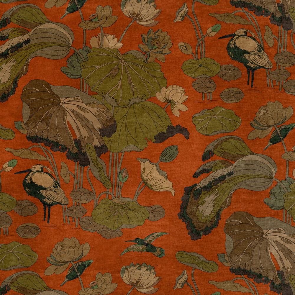 Nympheus Velvet Spice by G P & J Baker Designer Fabric SIGNATURE VELVETS VISCOSE - 60%;COTTON - 30%;POLYESTER - 10% Italy Horizontal: 26.989 and Vertical: 35.46 53.978 - Swanky Fabrics -