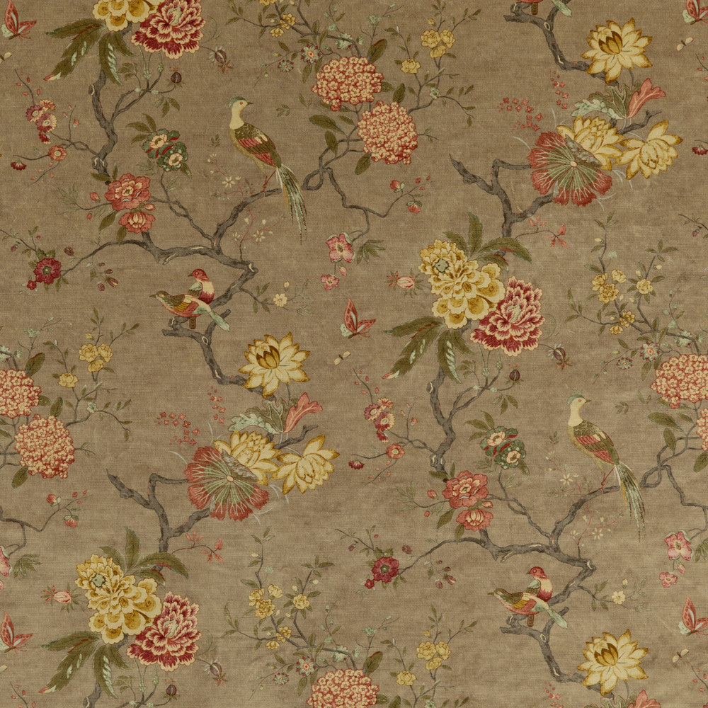 Oriental Bird Velvet Mole by G P & J Baker Designer Fabric SIGNATURE VELVETS VISCOSE - 60%;COTTON - 30%;POLYESTER - 10% Italy Horizontal: 17.9664 and Vertical: 32.308 53.978 - Swanky Fabrics -