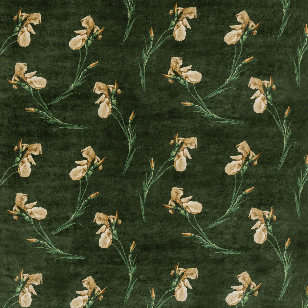 Baker Iris Emerald by G P & J Baker Fabric G P & J Baker Fabric Baker Iris EmeraldFabric SIGNATURE VELVETS VISCOSE - 55%;COTTON - 45% Italy </p><p>Repeat: H: 27.58, V: 23.246 55.16 - Fabric Carolina -