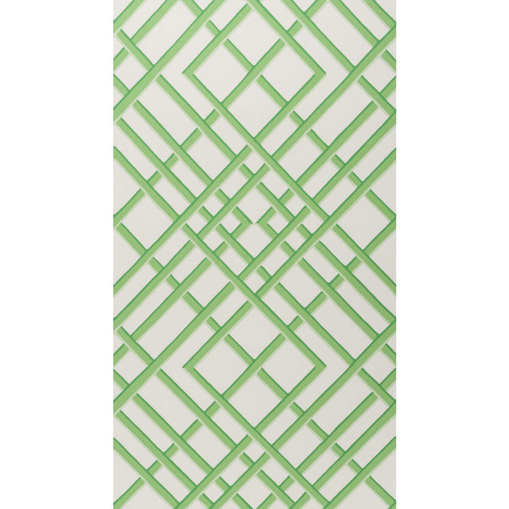 Treillage Sidewall Leaf by Brunschwig & Fils Wallcovering Brunschwig & Fils Wallcovering Treillage Sidewall LeafWallcovering VOLUME 56 PAPER - 100% United States </p><p>Repeat: H: 21, V: 21 21 - Fabric Carolina -