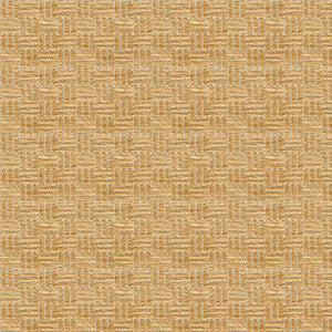 Brunschwig & Fils Fabric Reed Texture Biscuit