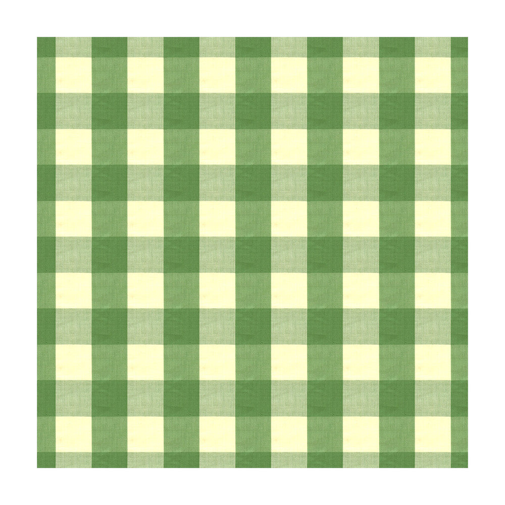 Exchequer Cotton Check Jade by Brunschwig & Fils Fabric Brunschwig & Fils Fabric Exchequer Cotton Check JadeFabric COTTON - 100% India </p><p>Repeat: H: 4, V: 4 54 - Fabric Carolina -