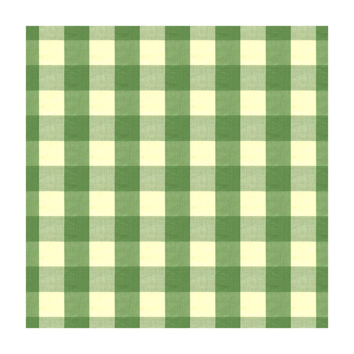 Exchequer Cotton Check Jade by Brunschwig & Fils Fabric Brunschwig & Fils Fabric Exchequer Cotton Check JadeFabric COTTON - 100% India </p><p>Repeat: H: 4, V: 4 54 - Fabric Carolina -