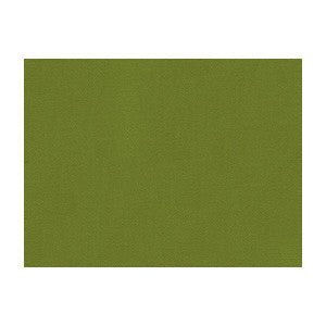 Brunschwig & Fils Fabric Fyvie Wool Satin Kelp