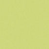 Brunschwig & Fils Fabric Autun Mohair Velvet Celery
