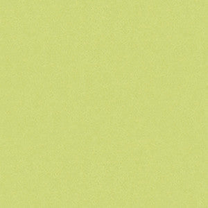 Brunschwig & Fils Fabric Autun Mohair Velvet Celery