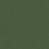 Brunschwig & Fils Fabric Autun Mohair Velvet Bayleaf