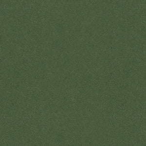 Brunschwig & Fils Fabric Autun Mohair Velvet Bayleaf