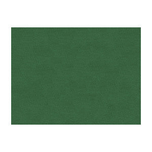Brunschwig & Fils Fabric Lubeck Cotton Velvet Ivy