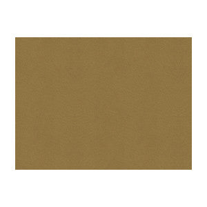 Brunschwig & Fils Fabric Lubeck Cotton Velvet Spice