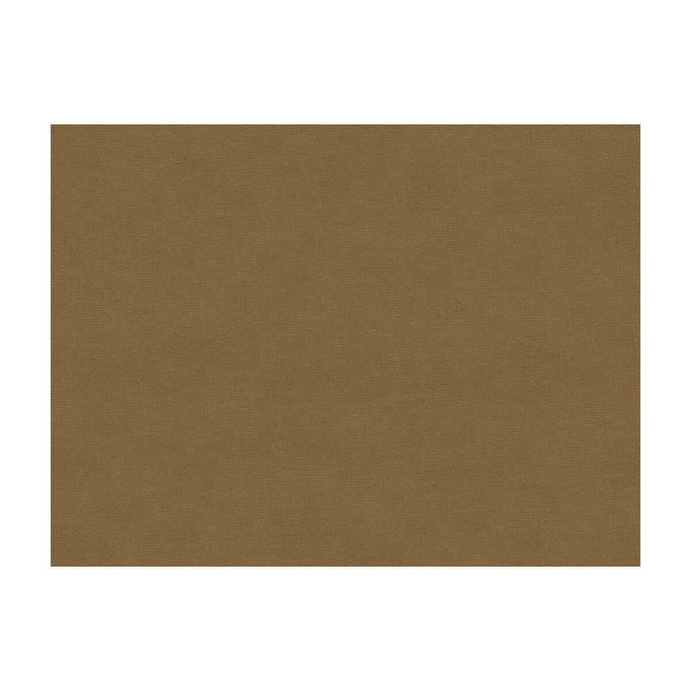 Lubeck Cotton Velvet Fawn by Brunschwig & Fils Fabric Brunschwig & Fils Fabric Lubeck Cotton Velvet FawnFabric COTTON - 100% Netherlands </p><p>Repeat: H: , V: 55 - Fabric Carolina -