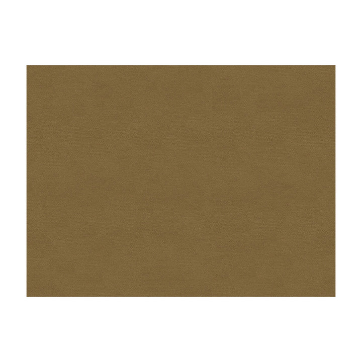 Lubeck Cotton Velvet Fawn by Brunschwig & Fils Fabric Brunschwig & Fils Fabric Lubeck Cotton Velvet FawnFabric COTTON - 100% Netherlands </p><p>Repeat: H: , V: 55 - Fabric Carolina -