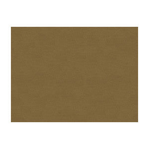 Brunschwig & Fils Fabric Lubeck Cotton Velvet Fawn