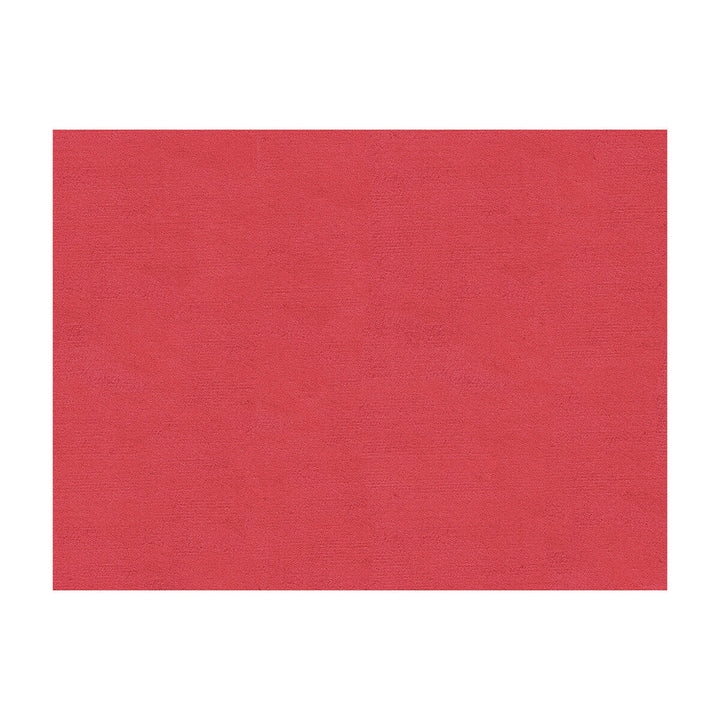 St Florent Silk Velvet Flamingo by Brunschwig & Fils Fabric Brunschwig & Fils Fabric St Florent Silk Velvet FlamingoFabric SILK - 100% China </p><p>Repeat: H: , V: 55 - Fabric Carolina -
