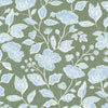 Stout Fabric Brett 1 Aloe