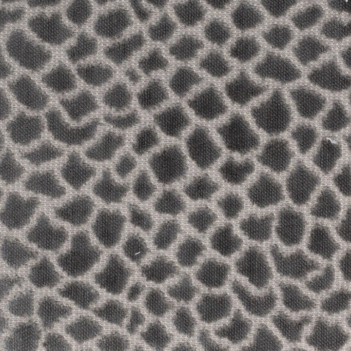 Brier 2 Nickel by Stout Designer Fabric PILED HIGH VELVETS 91%POL 9%COT INDIA FLAME RETARDANT-N.F.P.A. 701 SMALL SCALE Horizontal: 14.000 and Vertical: 14.000 54 in - Swanky Fabrics -