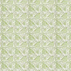 Aoc Fabric Bristol 4 Seedling