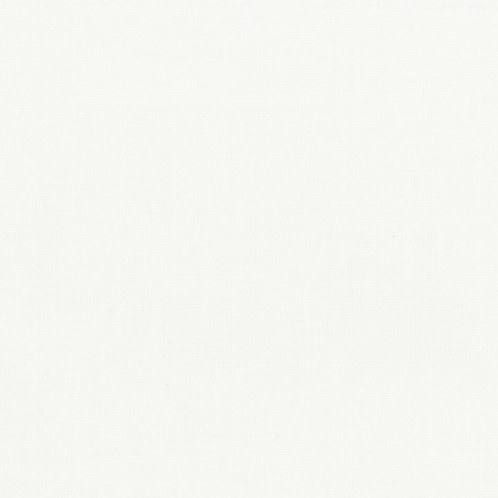 Bromiley 4 White by Stout Designer Fabric COLOR APPEAL 100%POL INDIA Horizontal: 0.000 and Vertical: 0.000 54 in - Swanky Fabrics -