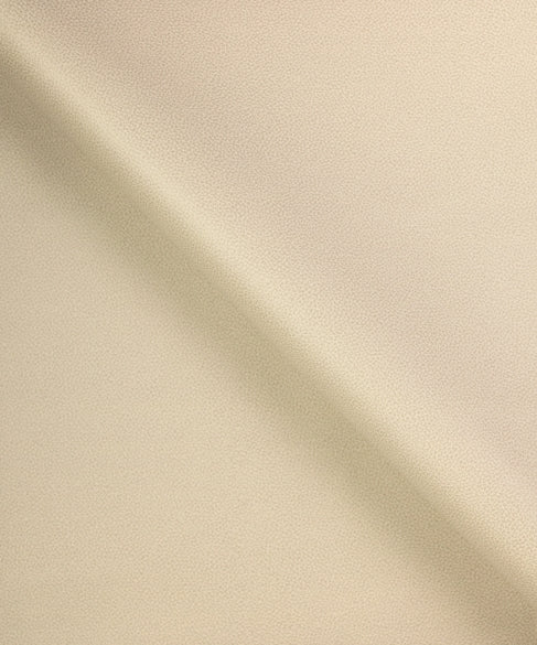 Buckaroo 11002 by Barrow Industries Designer Fabric