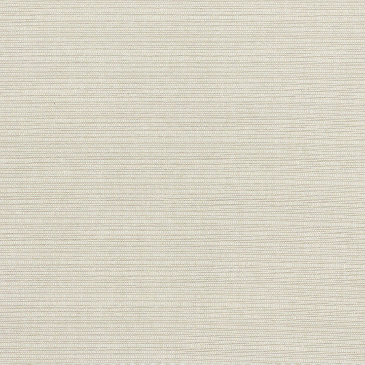 Bugstone 1 Ecru by Stout Fabric Stout Fabric Bugstone 1 EcruFabric TEXTURE APPEAL 100%COT INDIA </p><p>Repeat: H: 0.000, V: 0.000 54 in - Fabric Carolina -