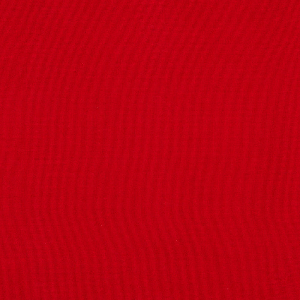 Burlington 45J7031 by JF Crypton Designer Fabric Crypton Binder 100% Polyester China 50000 Horizontal: and Vertical: 54 - Swanky Fabrics -