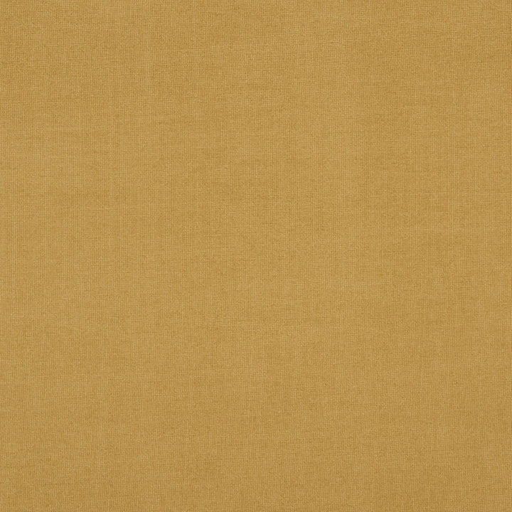Burlington 74J7031 by JF Crypton Designer Fabric Crypton Binder 100% Polyester China 50000 Horizontal: and Vertical: 54 - Swanky Fabrics -