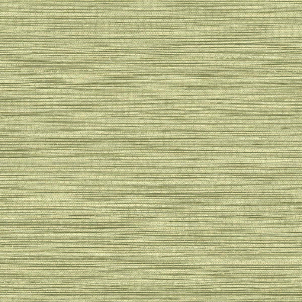Grasslands Lime Moss BV30104 by Seabrook Designs Designer Wallpaper