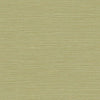 Seabrook Designs Wallpaper Coastal Hemp Lime Moss BV30424