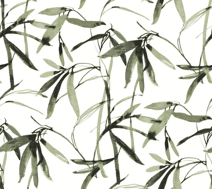 Bamboo Ink Green & Black Wallpaper by York Wallcoverings Designer Earthy Tones Covers about 60.8 square feet 27-in by 27-ft long roll Prepasted 24 - Swanky Fabrics -