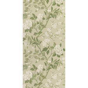 G P & J Baker Wallpaper Emperor'S Garden Soft Green