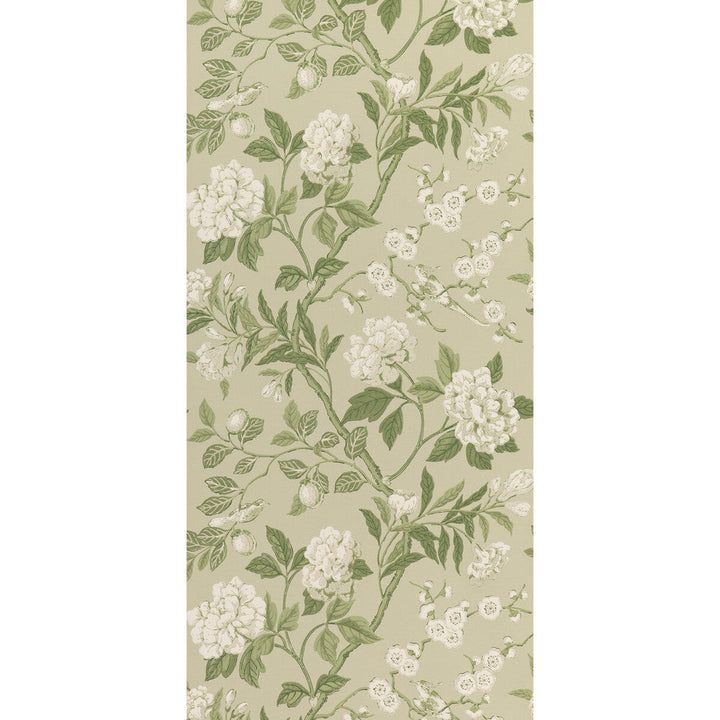Emperor'S Garden Soft Green by G P & J Baker Designer Wallcovering SIGNATURE II WALLPAPERS NON WOVEN - 100% United Kingdom Horizontal: 20.488 and Vertical: 24.034 20.488 - Swanky Fabrics -