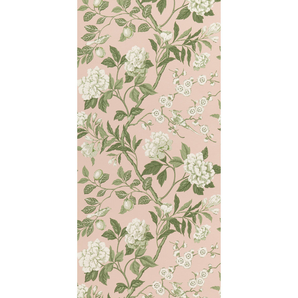 Emperor'S Garden Blush by G P & J Baker Designer Wallcovering SIGNATURE II WALLPAPERS PAPER - 100% United Kingdom - Horizontal: 20.488 and Vertical: 24.034 20.488 - Swanky Fabrics -