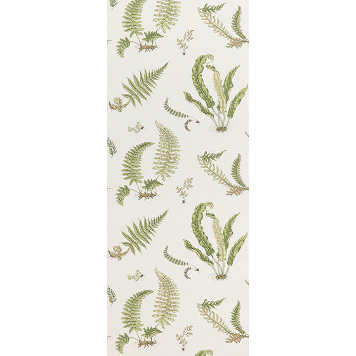 Ferns Leaf by G P & J Baker Designer Wallcovering SIGNATURE II WALLPAPERS NON WOVEN - 100% United Kingdom Horizontal: 20.488 and Vertical: 20.882 20.488 - Swanky Fabrics -