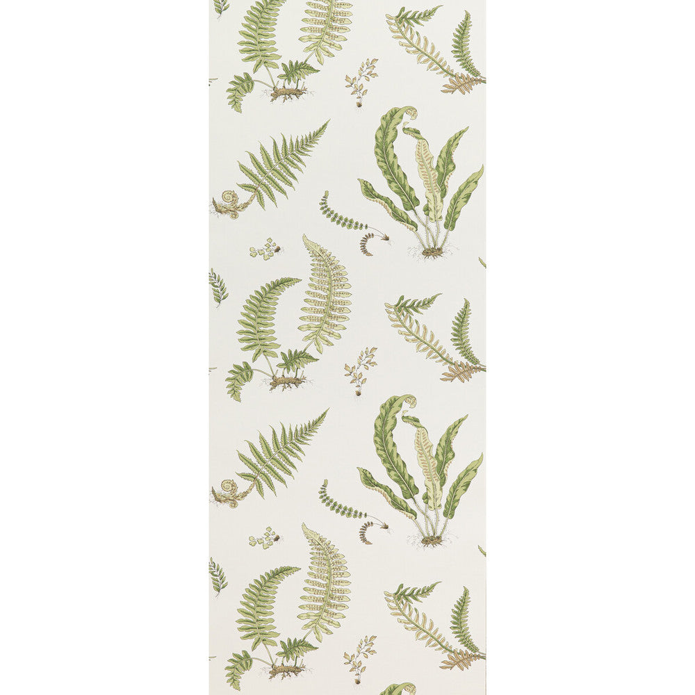 Ferns Leaf by G P & J Baker Wallcovering G P & J Baker Wallcovering Ferns LeafWallcovering SIGNATURE II WALLPAPERS NON WOVEN - 100% United Kingdom </p><p>Repeat: H: 20.488, V: 20.882 20.488 - Fabric Carolina -