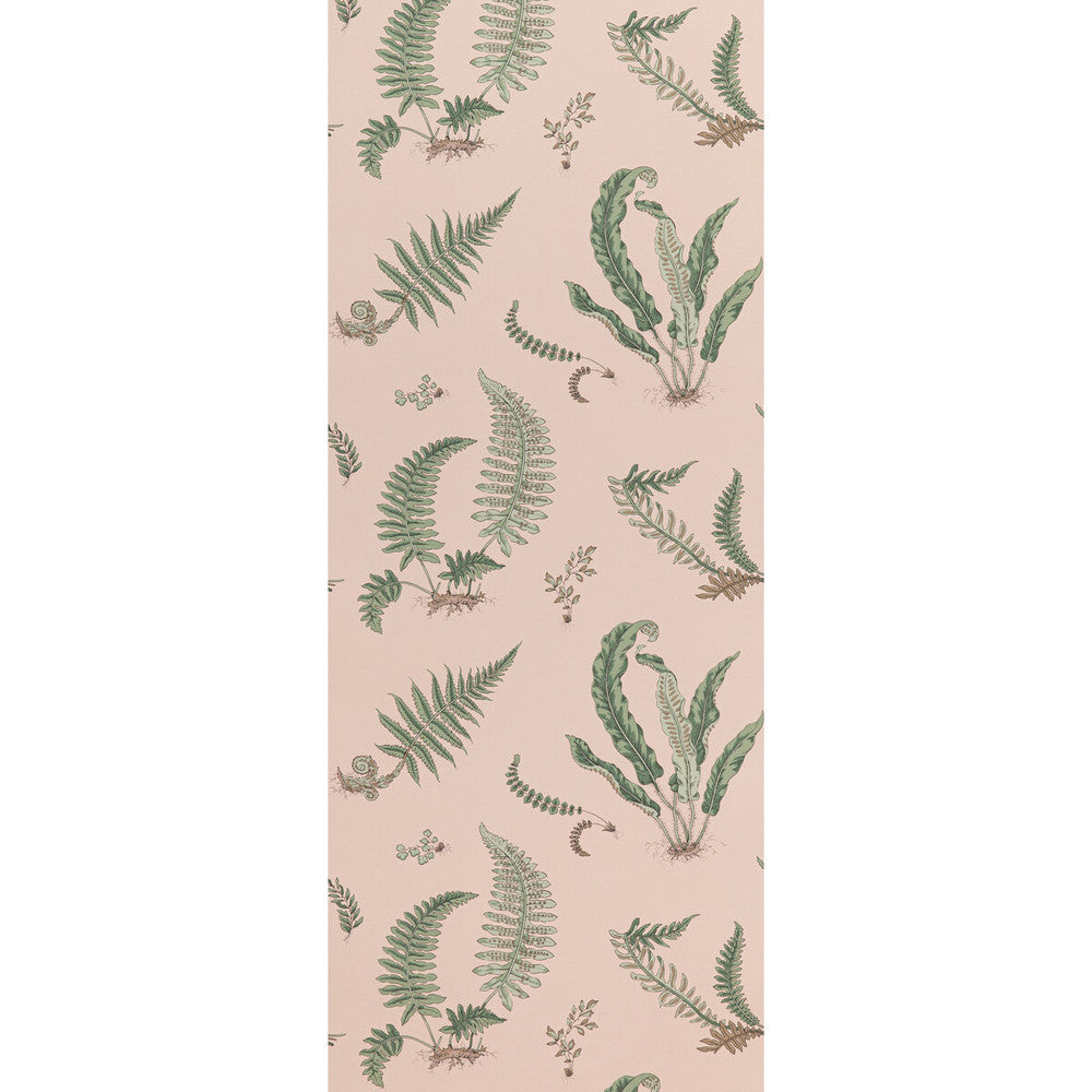 Ferns Blush by G P & J Baker Designer Wallcovering SIGNATURE II WALLPAPERS NON WOVEN - 100% United Kingdom Horizontal: 20.488 and Vertical: 20.882 20.488 - Swanky Fabrics -