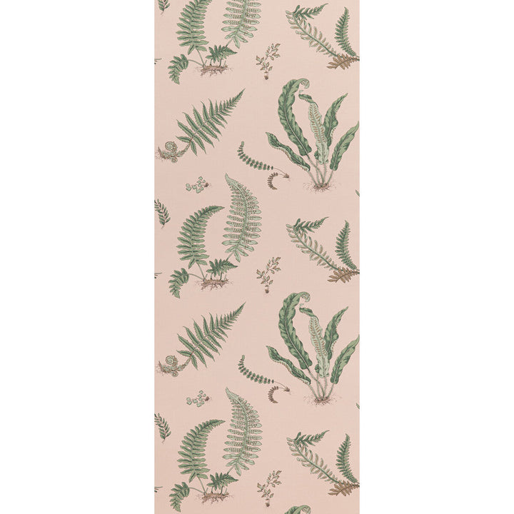 Ferns Blush by G P & J Baker Designer Wallcovering SIGNATURE II WALLPAPERS NON WOVEN - 100% United Kingdom Horizontal: 20.488 and Vertical: 20.882 20.488 - Swanky Fabrics -
