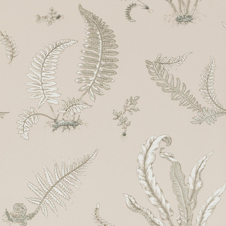 Ferns Linen by G P & J Baker Designer Wallcovering SIGNATURE NON WOVEN - 100% United Kingdom Horizontal: 20.488 and Vertical: 20.882 20.488 - Swanky Fabrics -