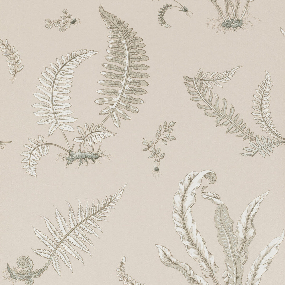 Ferns Linen by G P & J Baker Designer Wallcovering SIGNATURE PAPER - 100% United Kingdom - Horizontal: 20.488 and Vertical: 20.882 20.488 - Swanky Fabrics -