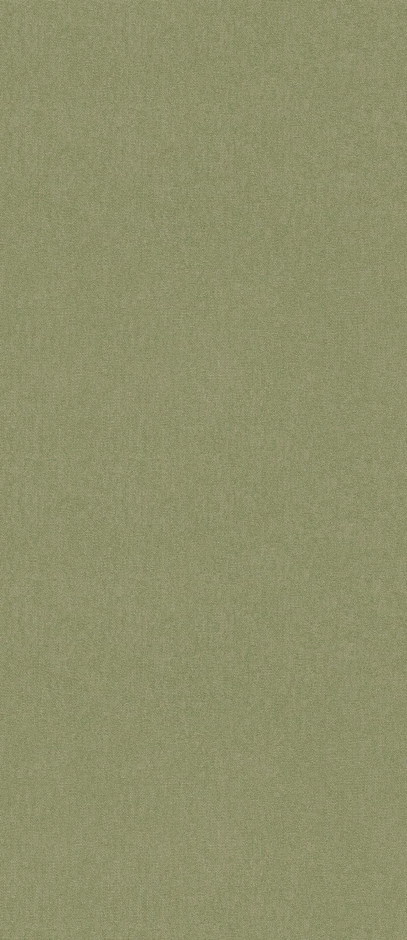 G P & J Baker Wallcovering Grass