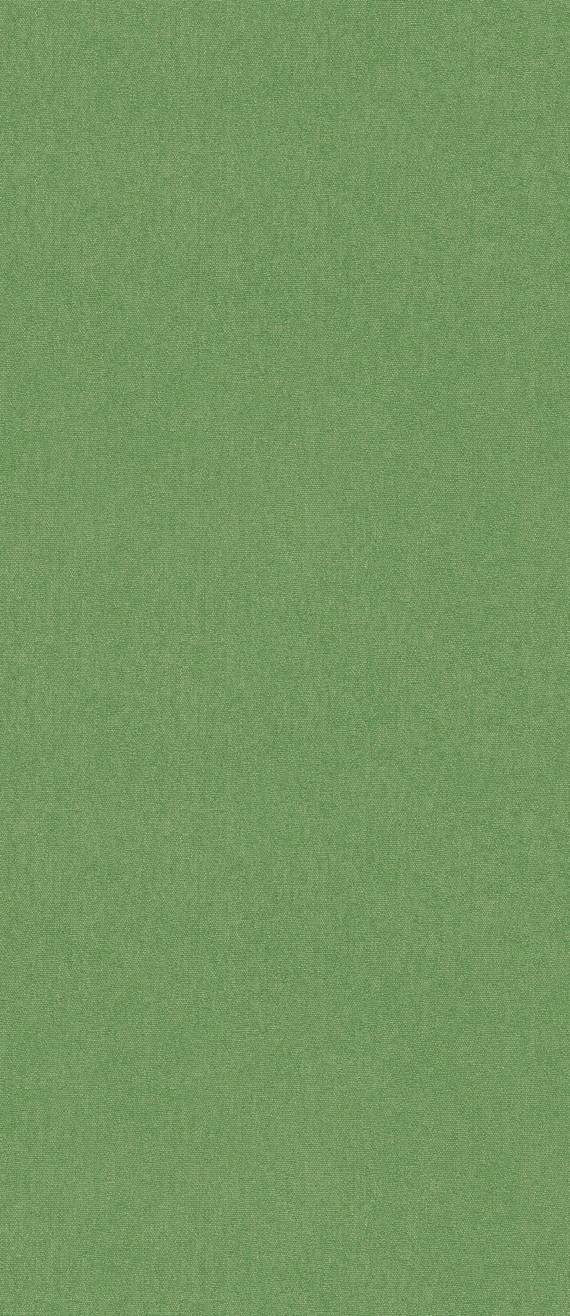 G P & J Baker Wallcovering Spring Green