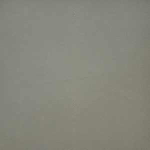 Maxwell Fabric Bewitched # 256 Chia