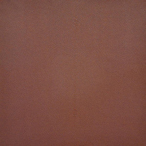 Maxwell Fabric Bewitched # 264 Sedona