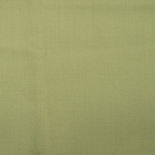 Barry - Green Tea by Europatex Designer Fabric Barry 100% Cotton China See Sample Horizontal: N/A and Vertical: N/A   - Swanky Fabrics -