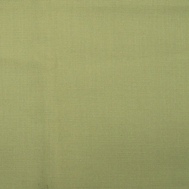Barry Green Tea by Europatex Designer Fabric Barry 100% Cotton 0.00" 55.00 inches - Swanky Fabrics -