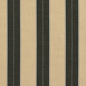 Sunbrella Fabric 8521 Berenson Tuxedo