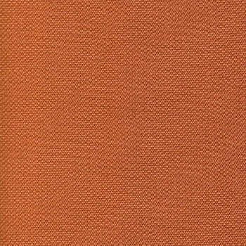 Berwick Tweed Baja Sunset BRW-400 by Burch Designer Fabric our website for purchase 100% Vinyl USA or Asia Water-based cleaning agents and foam may be used for cleaning. This fabric may also be cleaned with mild, water-free solvents. Cleaning by a professional cleaning service is recommended. Horizontal: - and Vertical: - 54" - Swanky Fabrics -