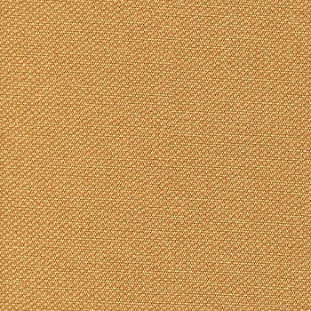 Berwick Tweed Spiked Apricot BRW-1700 by Burch Designer Fabric our website for purchase 100% Vinyl USA or Asia Water-based cleaning agents and foam may be used for cleaning. This fabric may also be cleaned with mild, water-free solvents. Cleaning by a professional cleaning service is recommended. Horizontal: - and Vertical: - 54" - Swanky Fabrics -