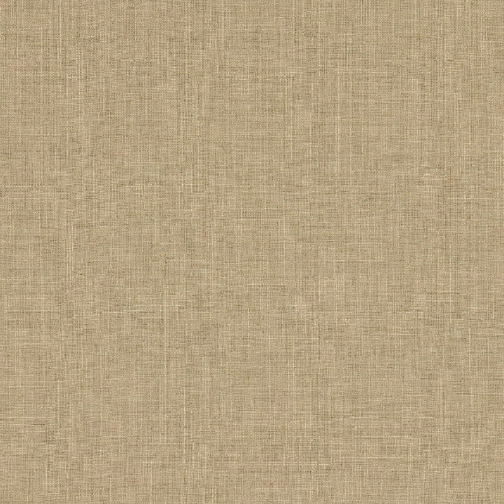 Biancheria Linen by Europatex Designer Fabric Biancheria 70% Linen, 16% Rayon, 14% Polyester 0.00" 56.00 inches - Swanky Fabrics -