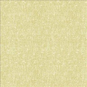 Kasmir Fabric Blake Citrus