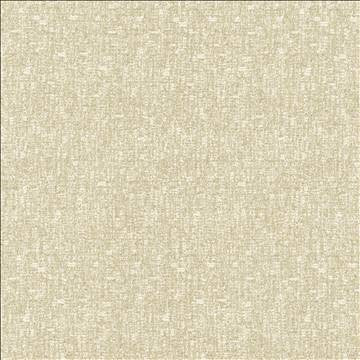 Kasmir Fabric Blake Classic